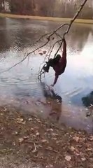 Il veut récuperer un leurre de pêche dans un arbre et prend tous les risques