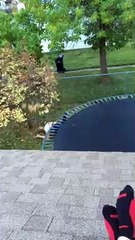 Back Flip on Trampoline Sends Girl to the Ground