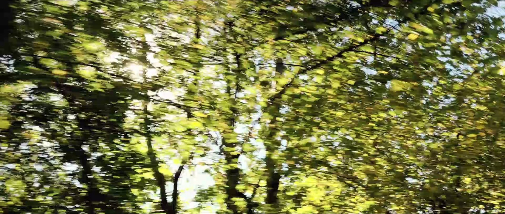 LES PLUS BELLES ANNEES D'UNE VIE : Bande annonce du film de Claude Lelouch - Bulles de Culture