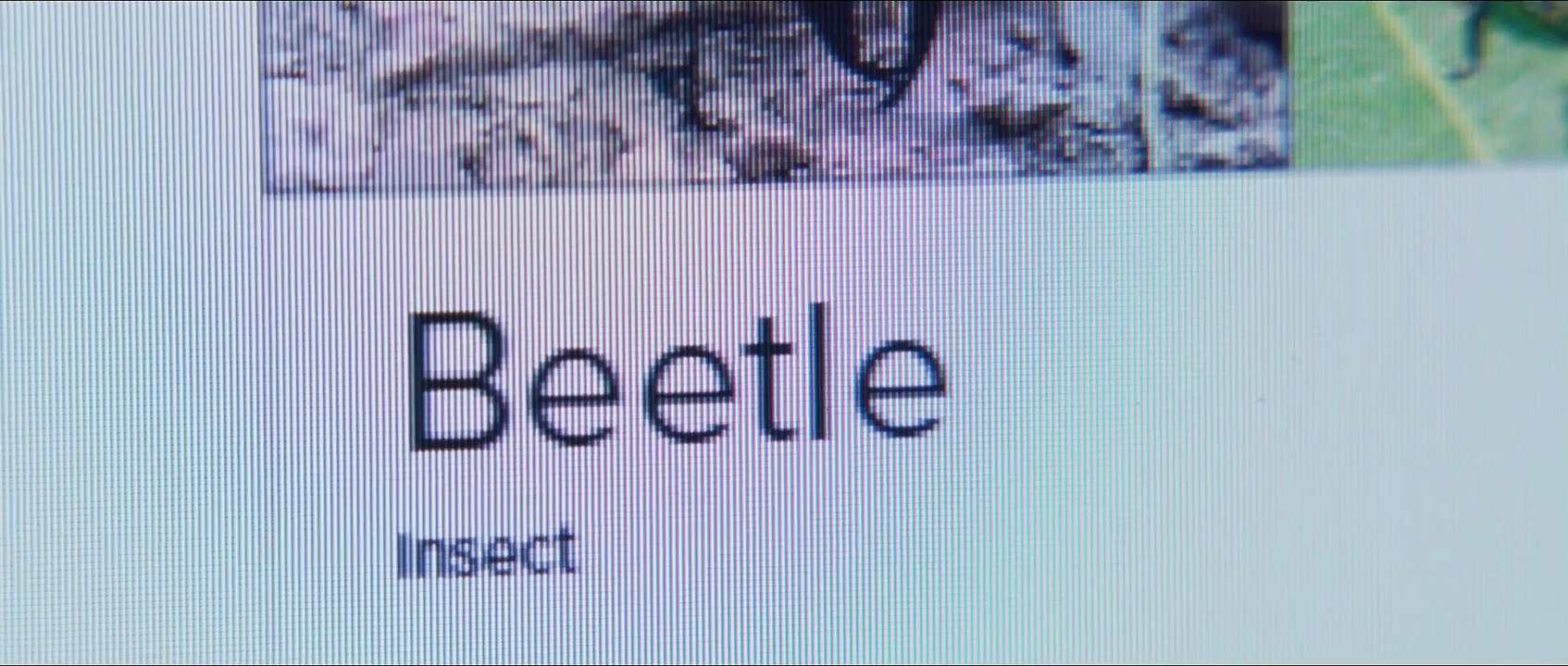 Yesterday Film (2019) Trailer