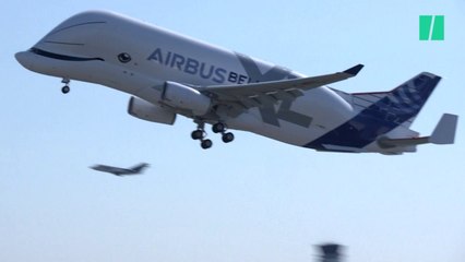 Premier vol du Beluga XL, le nouveau géant de la famille Airbus