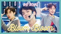 [HOT] THE BOYZ - Bloom Bloom,  더보이즈 - Bloom Bloom  Show Music core 20190511