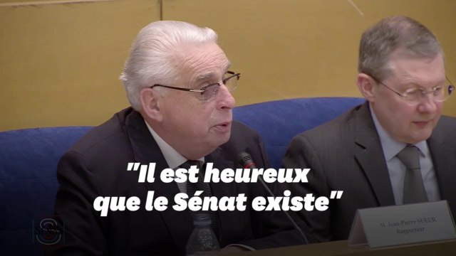 Affaire Benalla: le Sénat tacle l'Assemblée nationale
