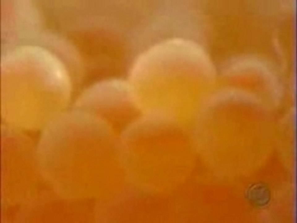 Comment cest fait - la truite arc-en-ciel