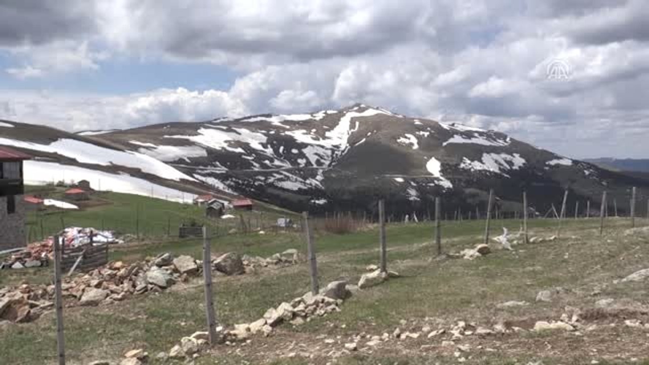 Baharda Yayla Yollarında Kar Temizliği - Ordu