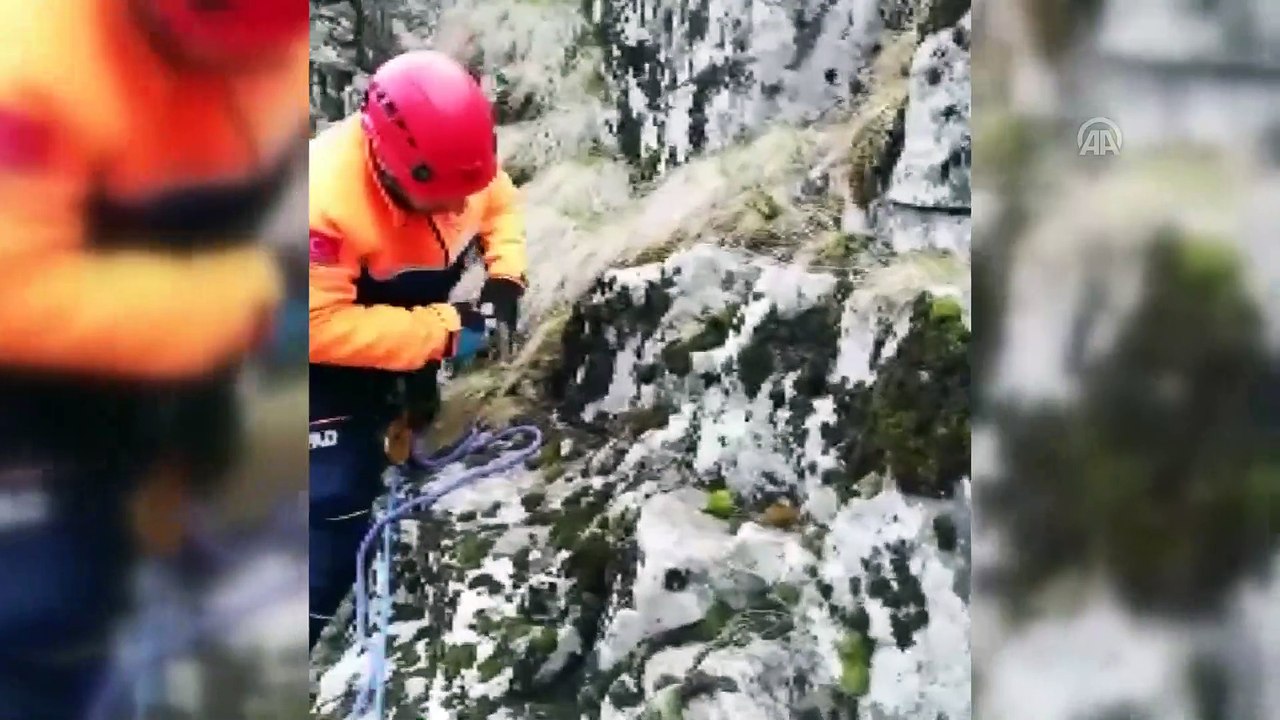 AA muhabirini arama çalışmaları sürüyor (2) - BAYBURT