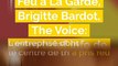 Incendie à La Garde, Brigitte Bardot à Cannes, des Varois à The Voice: voici votre brief info de samedi après-midi
