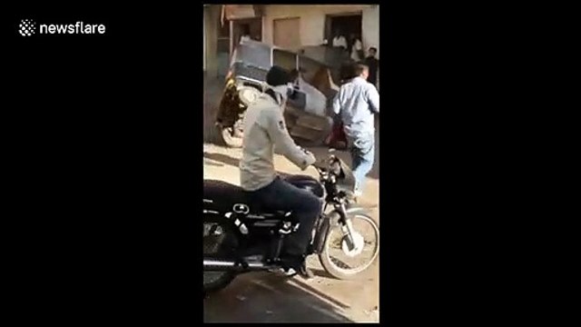 Raging bulls turn rickshaw into a fighting arena