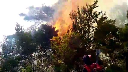 동두천 해룡산 정상에 산불...주불 진화 / YTN