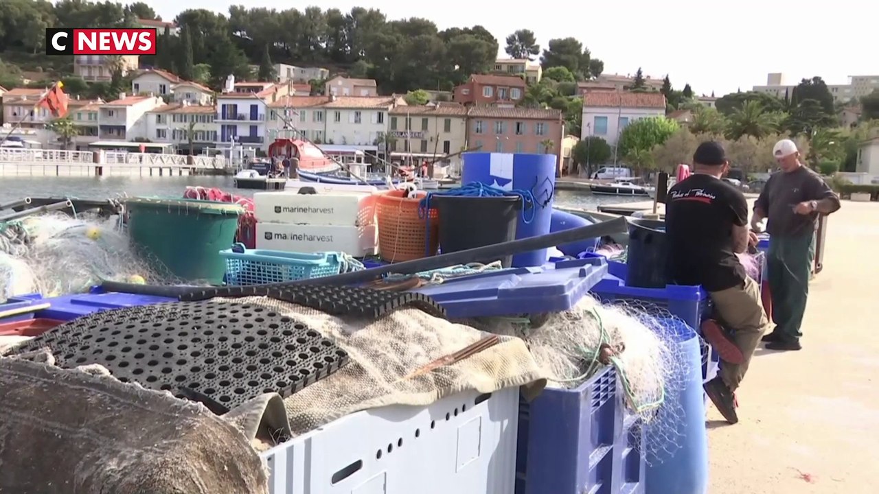 Soldats tués : après l’émotion, la colère à Saint-Mandrier-sur-Mer