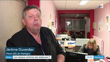 Aisne : les oiseaux victimes des éoliennes ?