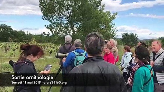 Beaulieu : sortie observation des oiseaux