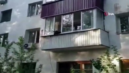 Evin balkonuna çıkan yavru ayı herkesi korkuttu