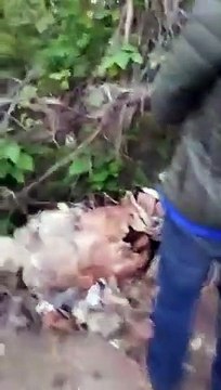 Anh em hội Lái xe Thái Bình, lập trạm xả BOT, quyết tâm đánh BOT Thăng Long Nội Bài