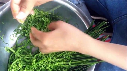 Beautiful Girl Cook Climbing Wattle Omelette Recipe