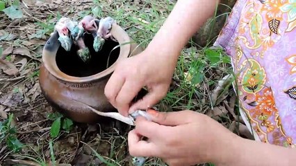Cooking chameleons on rock eating delicious