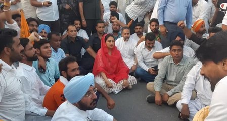 harsimrat badal dharna