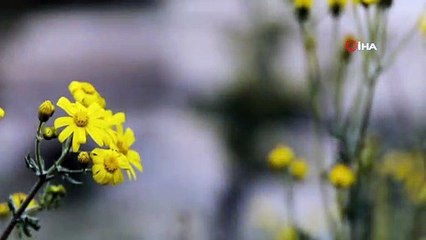 Jandarma’dan anneler günü klibi