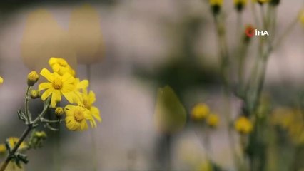 Jandarma'dan Anneler Günü Klibi