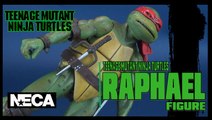 Teenage Mutant Ninja Turtles Raphael | NECA Toys Figure Review (Gamestop Exclusive)