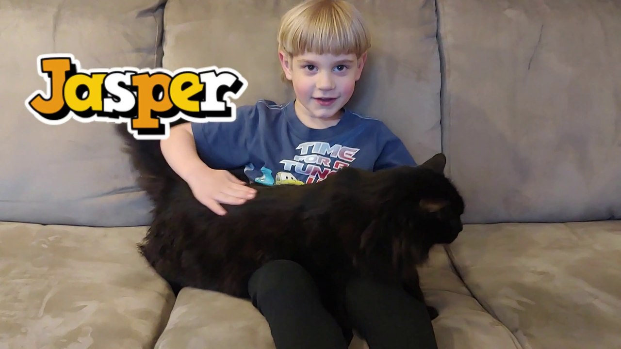 Playing Cat Doctor Fun With Ben