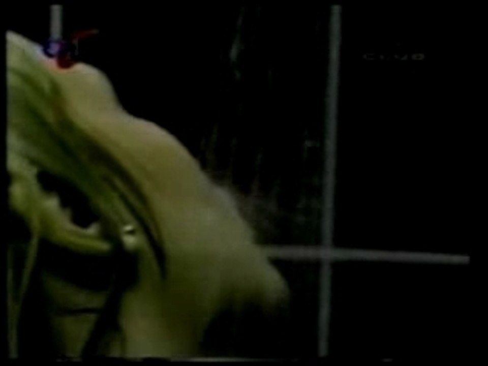 Kim Wilde - Chequered Love