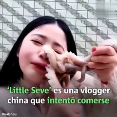 Youtuber trató de comerse un pulpo vivo- SALIO MAL