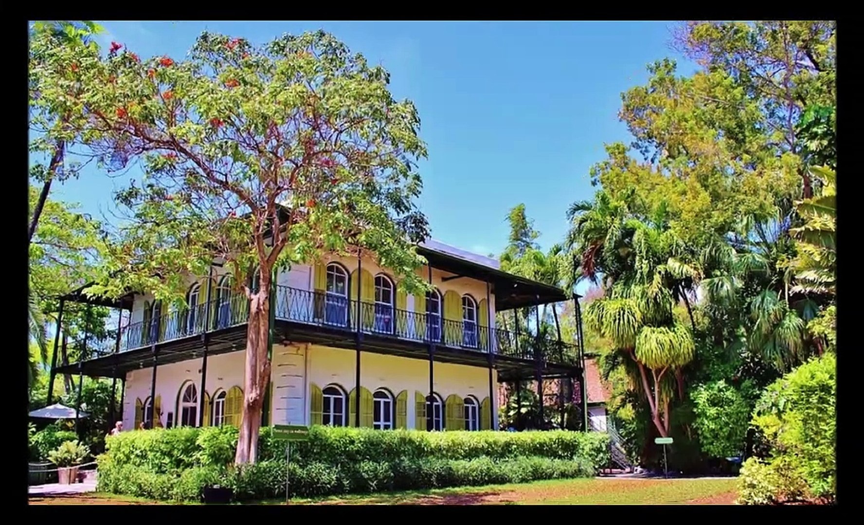 FLORIDA (mini documentary)