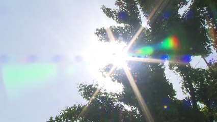 [날씨] 서쪽 덥고 동해안 선선...서울 또 올봄 최고 / YTN