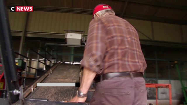 Tarn-et-Garonne : les agriculteurs recherchent des saisonniers