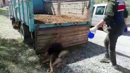 Van'da 91 kilo 333 gram eroin ele geçirildi