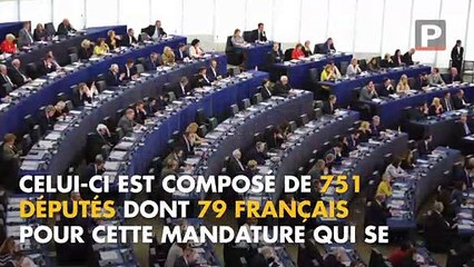 Élections européennes : pour quoi vote t-on ?