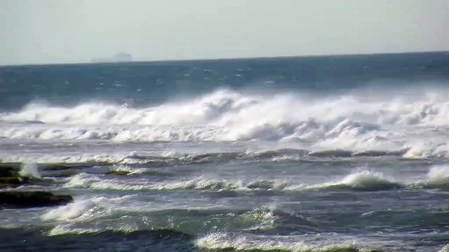 Le mistral souffle en bord de mer