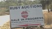 Ex-Zimbabwe president Mugabe's farm equipments auctioned