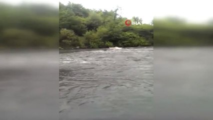 Kastamonu'da Simsiyah Akan Çay Köylüleri Tedirgin Etti