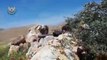 تدمير سيارة عسكرية لميليشيات أسد غربي حماة (فيديو)