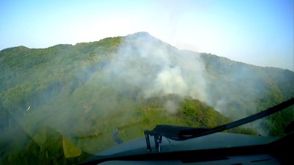 충북 청주 야산서 불...임야 0.2ha 피해 / YTN