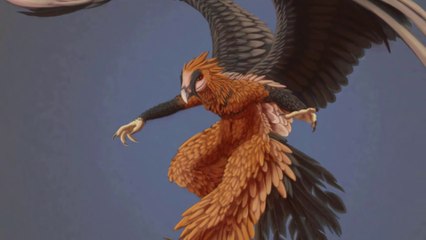 Nuốt Trọn Hay Đập Cho Nát Ra - Kền Kền Râu