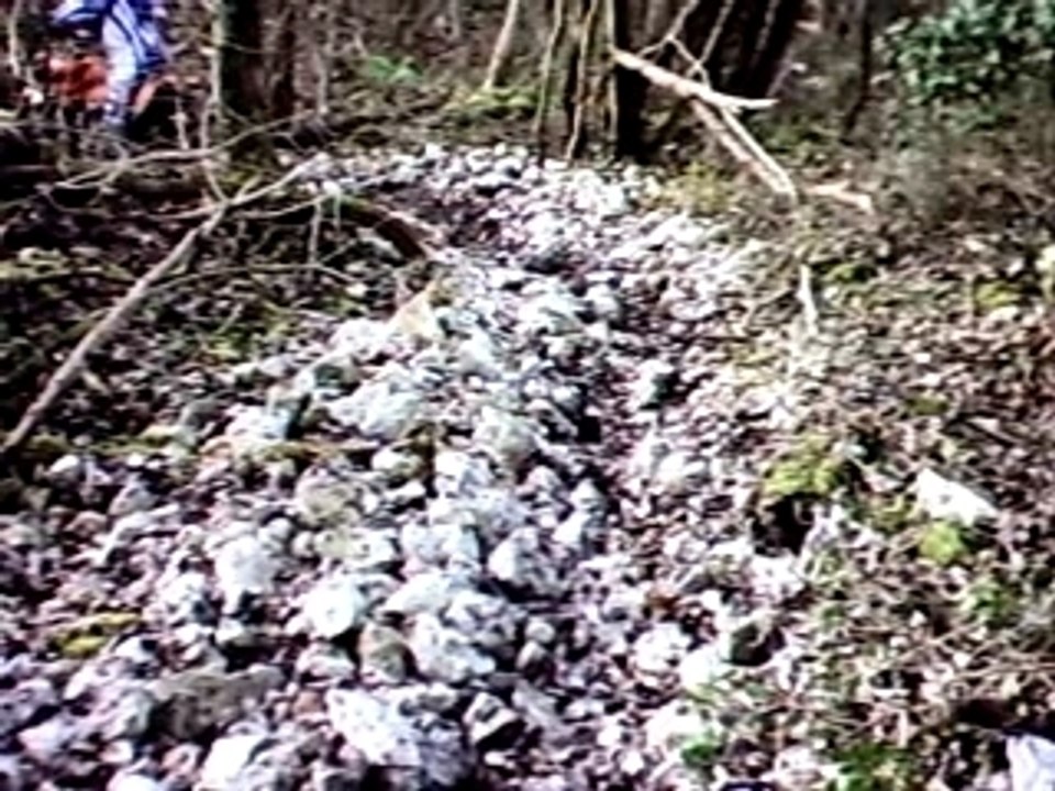 450 wrf  camera embarquée