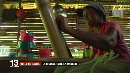 Huile de palme : un peuple indigène en danger