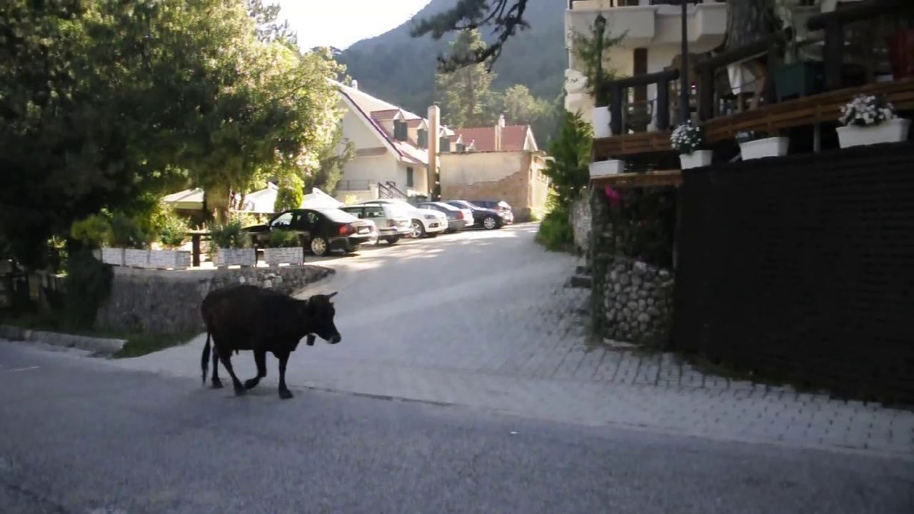 DOM.3-6-18- ALBANIA TREKKING 2 GIORNO CON SALITA AL MONTE QORRE (2018 METRI) NEL PARCO DELLA LIOGARA.