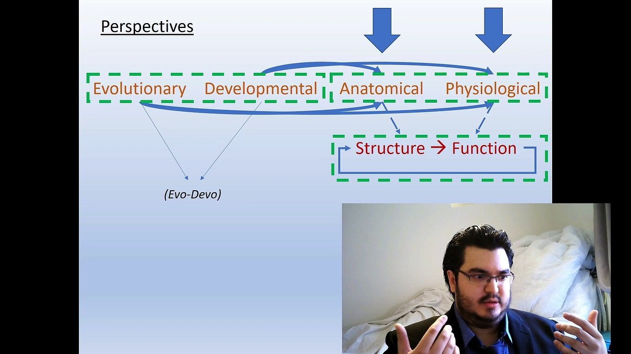 Structure and Function ! (S1-C6)