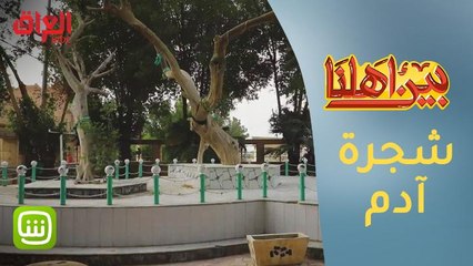#بين_أهلنا | سر شجرة آدم يكشفه برنامج بين أهلنا في جولة بالقرنة العراقية