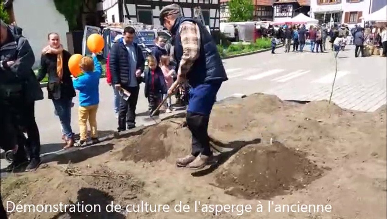 Hoerdt fête l'asperge d'antan