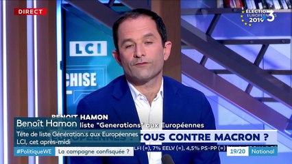 Européennes : une campagne confisquée par certains partis ?