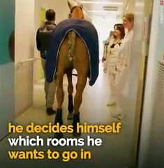 UM MILAGRE AO PACIENTE ENFERMO