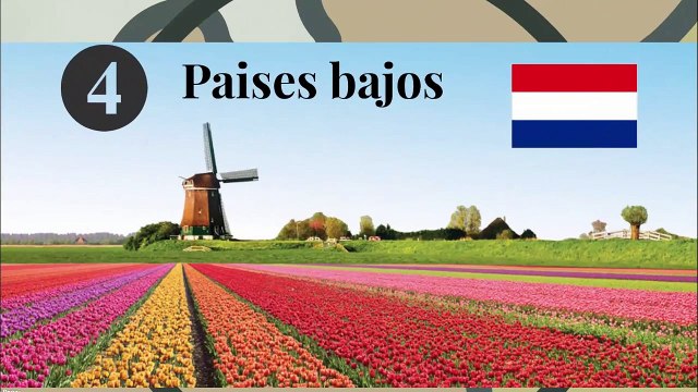 paises mas desarrollados (segun la ONU)