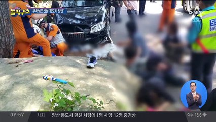 부처님오신날 ‘통도사 참변’…또 고령운전자 사고