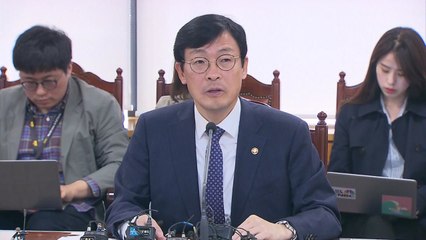 정부 "원화 변동성 과도하지 않아...필요시 시장안정조치" / YTN