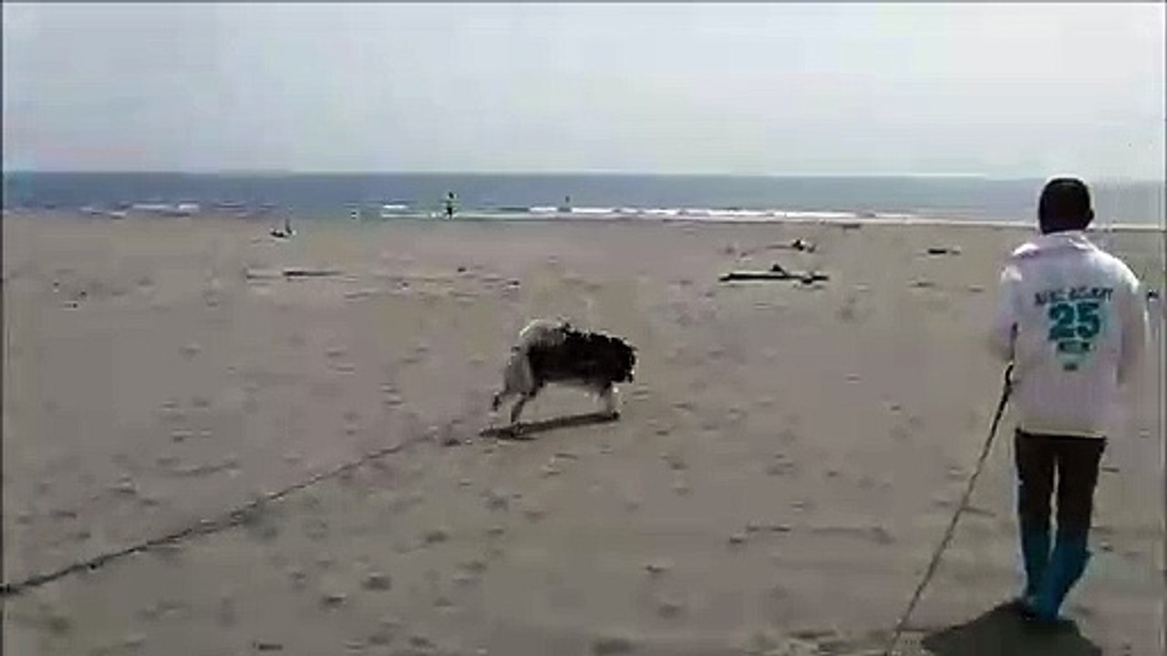 小松海岸